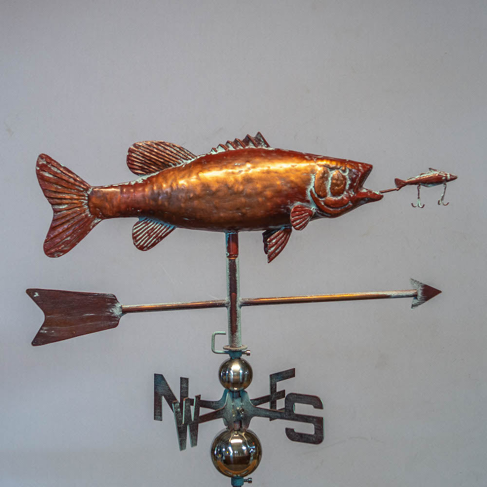 3D Full Body Largemouth Bass