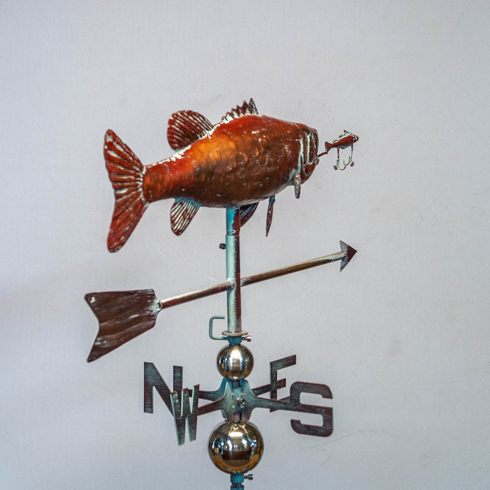 3D Full Body Largemouth Bass