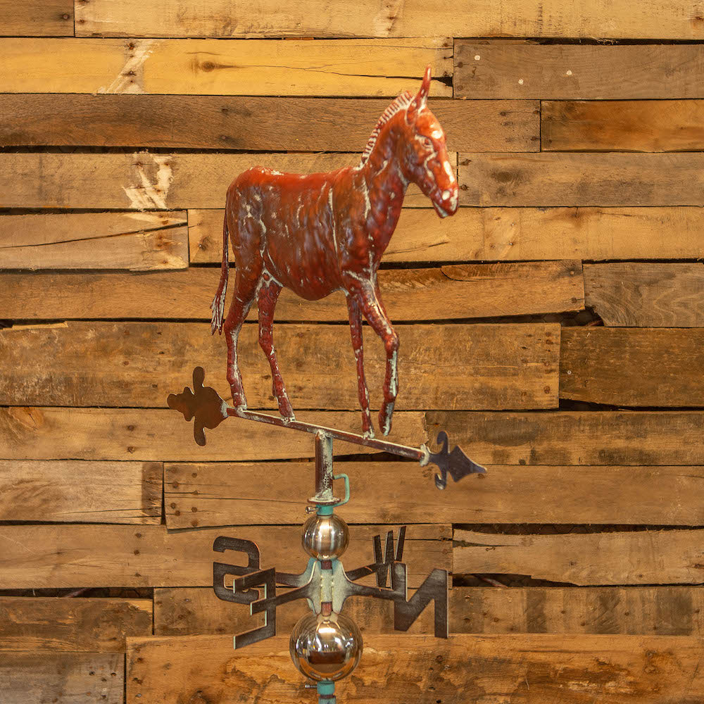 2D Donkey Weathervane